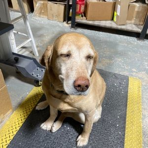 Meet your Posher, Chuck